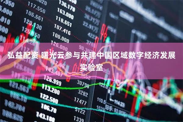 弘益配资 曙光云参与共建中国区域数字经济发展实验室